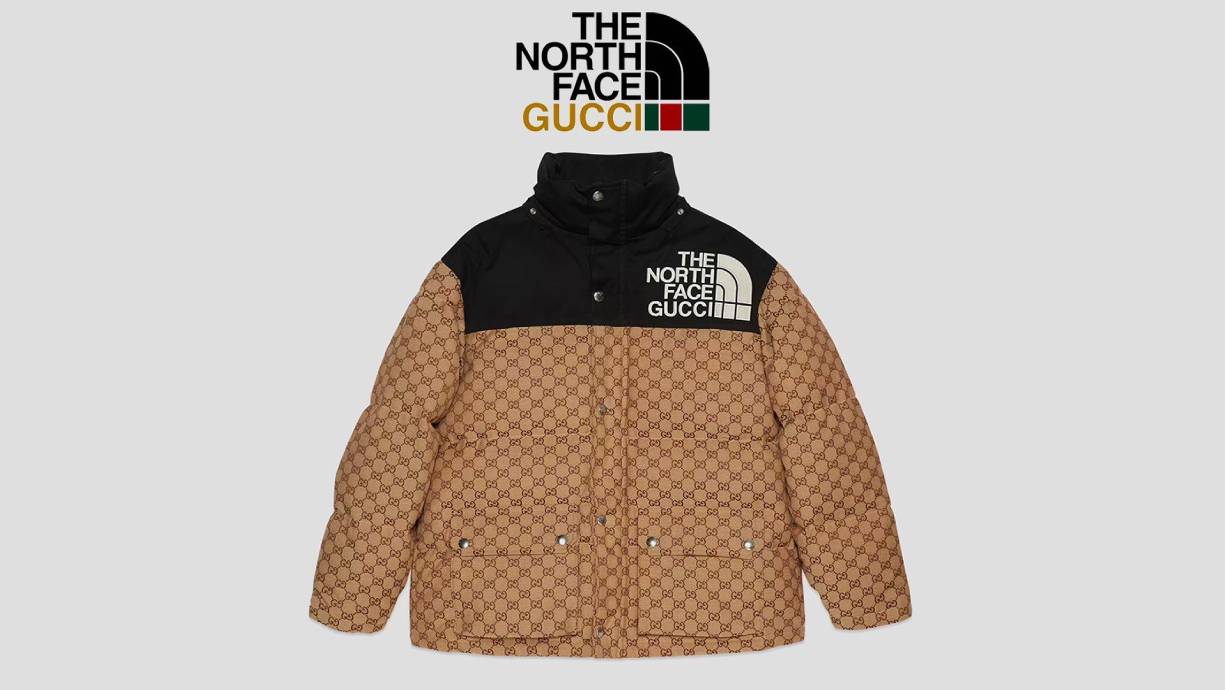 gilet gucci the north face