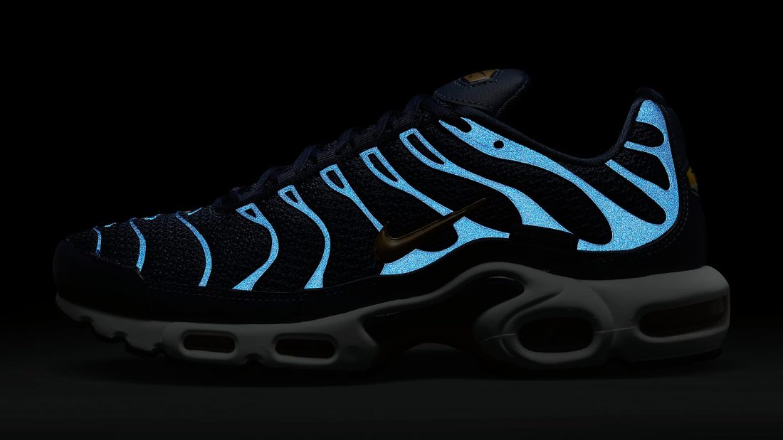 pop wees stil Systematisch Nike Air Max Plus FFF - Le Site de la Sneaker