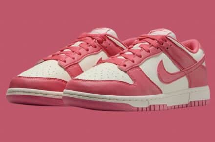 nike dunk low next nature aster pink dd1873 600 2 440x290